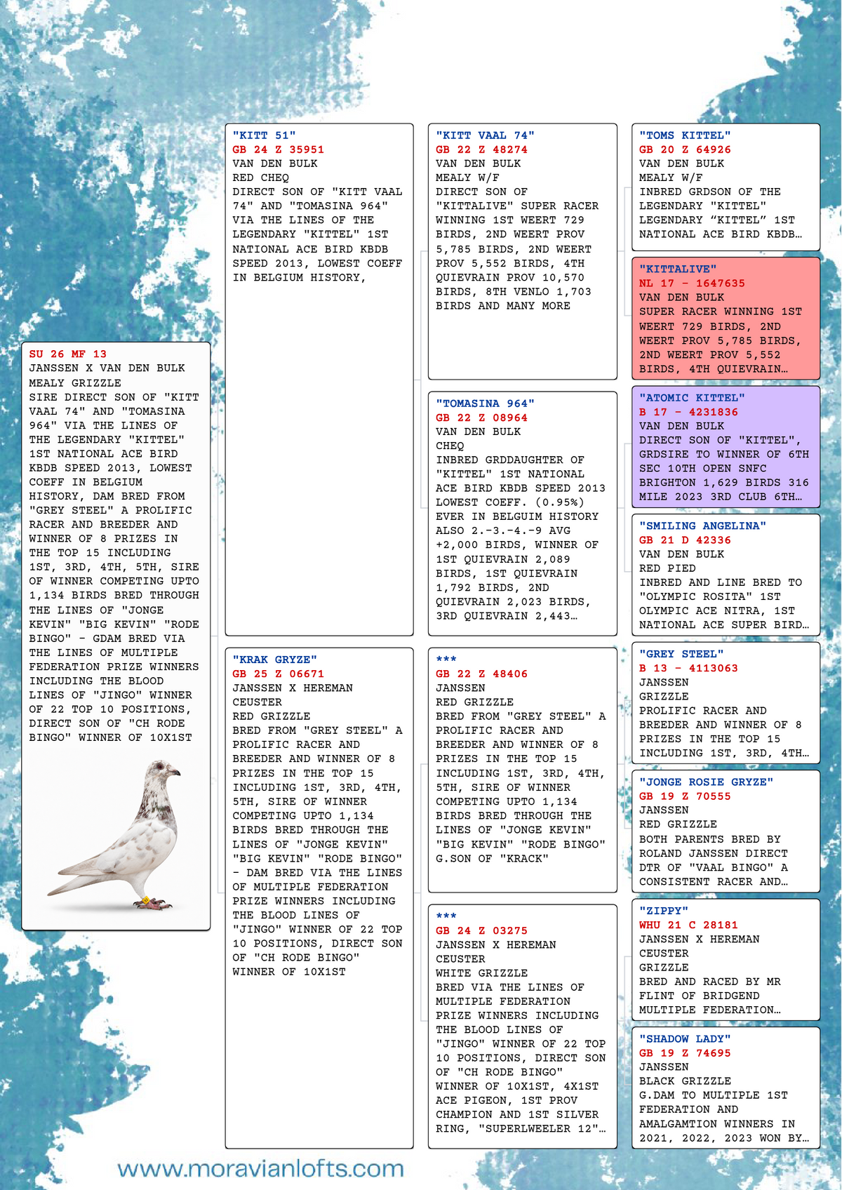SU 26 MF 13